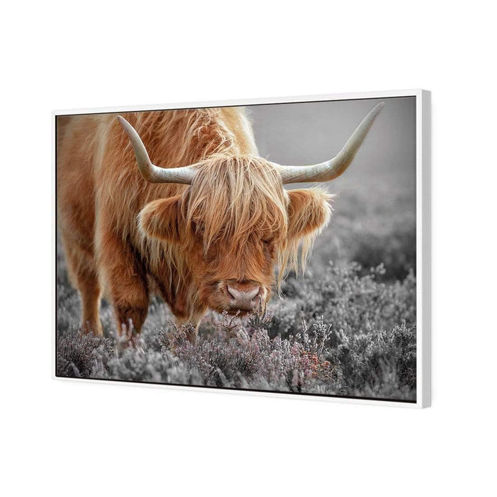 Highland in Heather by Jacky Parker Wall Art