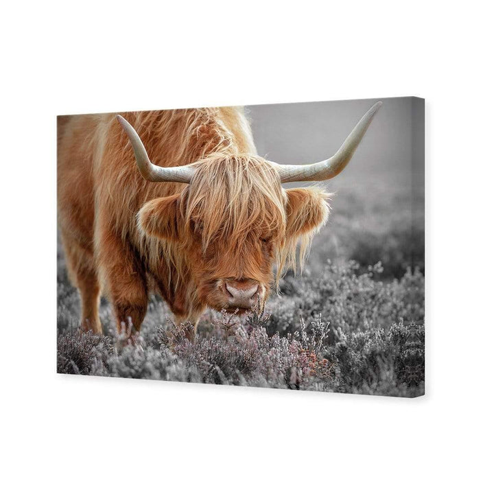 Highland in Heather by Jacky Parker Wall Art
