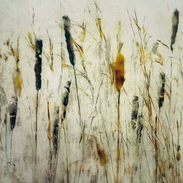 Cattail Reeds by Nel Talen