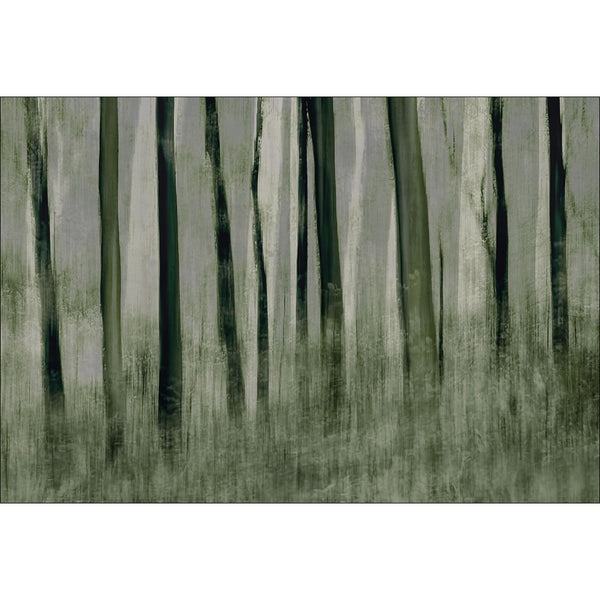 Trees in Motion by Nel Talen