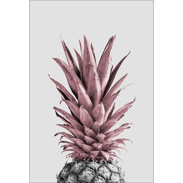 Pineapple Pink 04