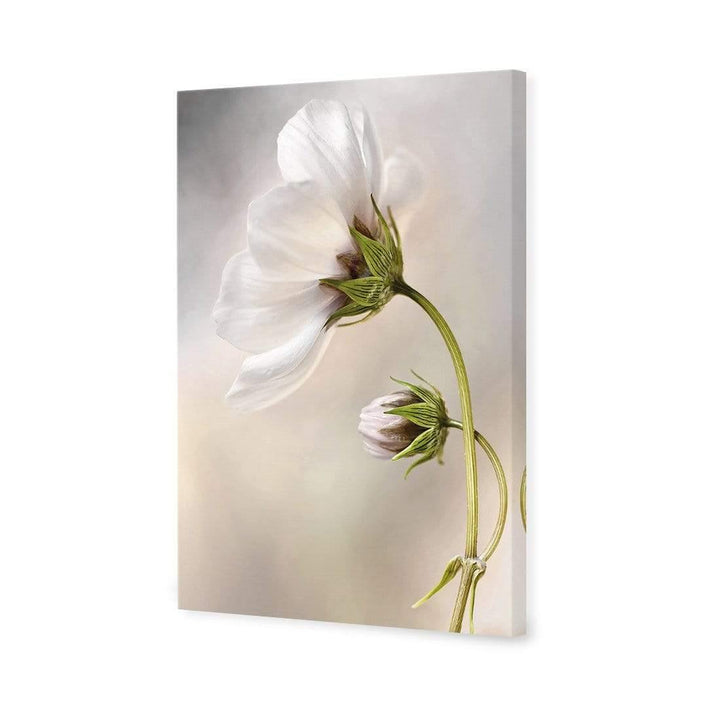 Heavenly Cosmos By Mandy Disher Wall Art