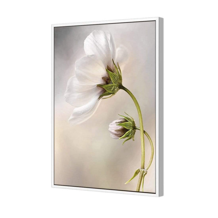 Heavenly Cosmos By Mandy Disher Wall Art