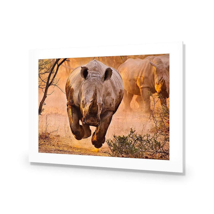 Rhino Learning to Fly By Justus Vermaak Wall Art
