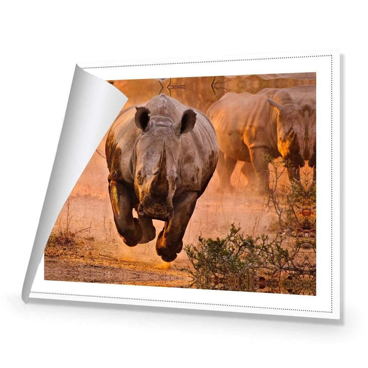Rhino Learning to Fly By Justus Vermaak Wall Art