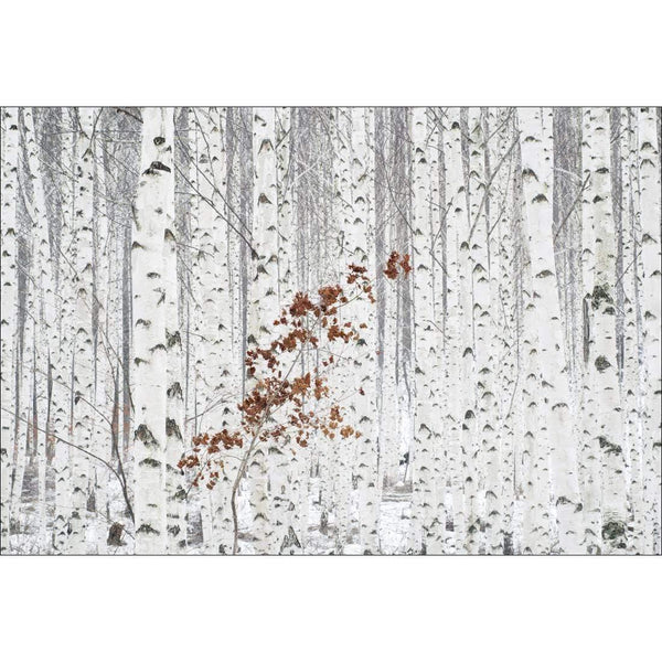 From White By Donghee, HAN Wall Art