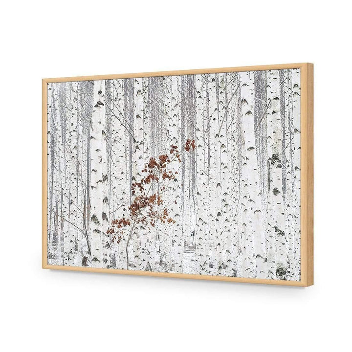 From White By Donghee, HAN Wall Art